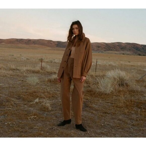 💕DOEN💕 Louvre Pant ~ High Waisted Pleated Ankle Pants Bark Brown 6 NWT - Picture 7 of 16